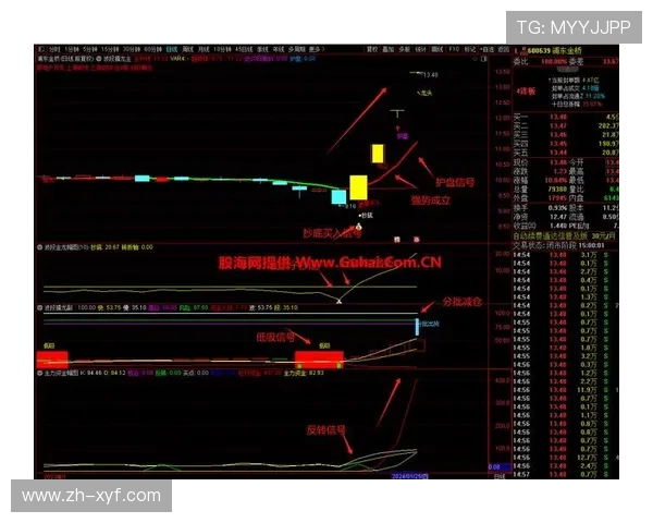 多宝真人官网正规平台保障玩家资金安全,放心体验每一场真人比赛